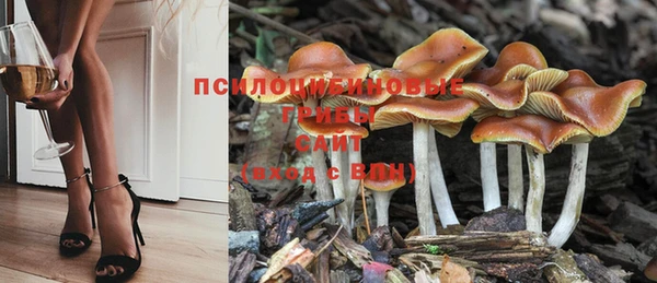 бошки Волоколамск